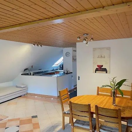 Geraeumiges Maisonette Todtmoos
